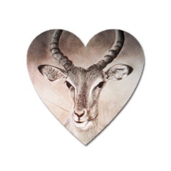 Antelope Horns Heart Magnet by TwoFriendsGallery