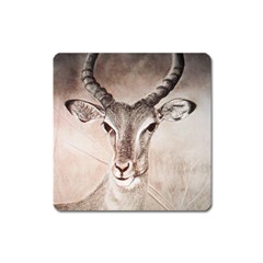 Antelope Horns Square Magnet by TwoFriendsGallery