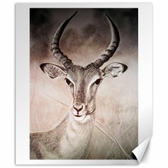 Antelope Horns Canvas 20  X 24   by TwoFriendsGallery