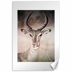 Antelope Horns Canvas 20  X 30   by TwoFriendsGallery