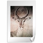 Antelope horns Canvas 20  x 30   19.62 x28.9  Canvas - 1