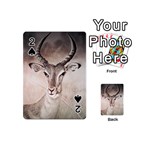 Antelope horns Playing Cards 54 (Mini)  Front - Spade2