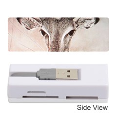 Antelope Horns Memory Card Reader (stick) 