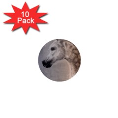 Grey Arabian Horse 1  Mini Buttons (10 Pack) 