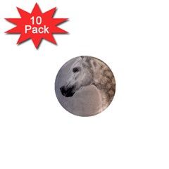 Grey Arabian Horse 1  Mini Magnet (10 Pack) 