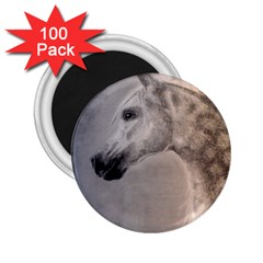 Grey Arabian Horse 2 25  Magnets (100 Pack) 