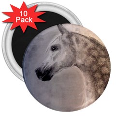 Grey Arabian Horse 3  Magnets (10 Pack)  by TwoFriendsGallery