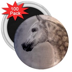 Grey Arabian Horse 3  Magnets (100 Pack) by TwoFriendsGallery