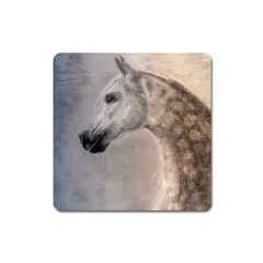 Grey Arabian Horse Square Magnet