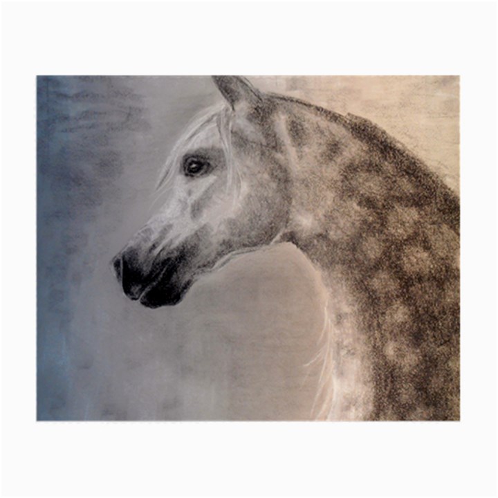 Grey Arabian Horse Small Glasses Cloth