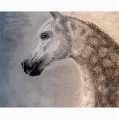 Grey Arabian Horse Collage 8  X 10 