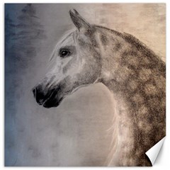 Grey Arabian Horse Canvas 12  X 12   by TwoFriendsGallery