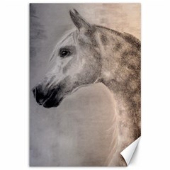 Grey Arabian Horse Canvas 12  X 18   by TwoFriendsGallery