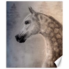 Grey Arabian Horse Canvas 20  X 24  