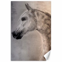 Grey Arabian Horse Canvas 24  X 36 