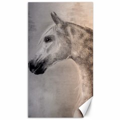 Grey Arabian Horse Canvas 40  X 72  