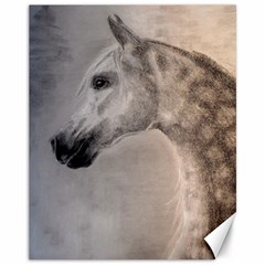 Grey Arabian Horse Canvas 11  X 14   by TwoFriendsGallery