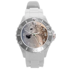 Grey Arabian Horse Round Plastic Sport Watch (l)