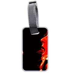 Robert And The Lion Luggage Tags (two Sides)