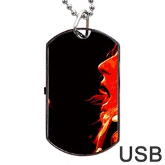 Robert And The Lion Dog Tag Usb Flash (two Sides) 