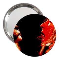 Robert And The Lion 3  Handbag Mirrors