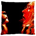 Robert And The Lion Standard Flano Cushion Cases (One Side)  Front