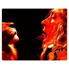 Robert And The Lion Double Sided Flano Blanket (medium) 