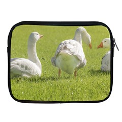 Group Of White Geese Resting On The Grass Apple Ipad 2/3/4 Zipper Cases