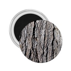 Tree Bark 2 25  Magnets by trendistuff