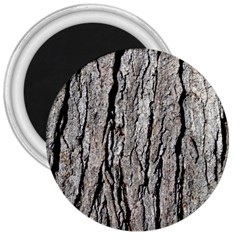 Tree Bark 3  Magnets