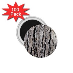 Tree Bark 1 75  Magnets (100 Pack)  by trendistuff