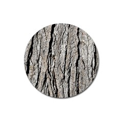 Tree Bark Magnet 3  (round) by trendistuff