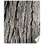 TREE BARK Canvas 8  x 10  8.15 x9.66  Canvas - 1