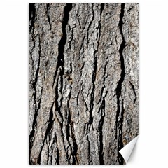 Tree Bark Canvas 12  X 18  