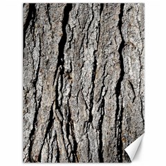 Tree Bark Canvas 36  X 48   by trendistuff