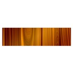 SHINY STRIATED PANEL Satin Scarf (Oblong) Front