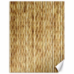 Light Beige Bamboo Canvas 18  X 24   by trendistuff