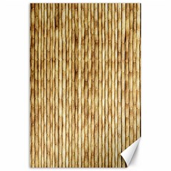 Light Beige Bamboo Canvas 20  X 30   by trendistuff