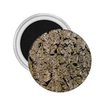 GREY TREE BARK 2.25  Magnets