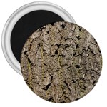 GREY TREE BARK 3  Magnets