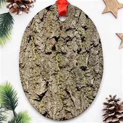 Grey Tree Bark Ornament (oval) 