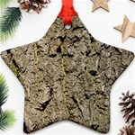 GREY TREE BARK Ornament (Star) 