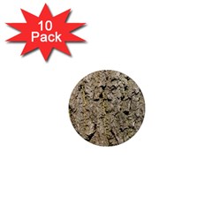 Grey Tree Bark 1  Mini Magnet (10 Pack)  by trendistuff