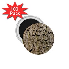 Grey Tree Bark 1 75  Magnets (100 Pack) 