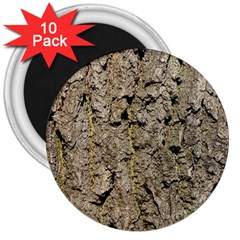 Grey Tree Bark 3  Magnets (10 Pack) 