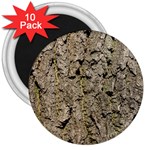 GREY TREE BARK 3  Magnets (10 pack) 