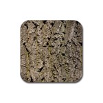 GREY TREE BARK Rubber Coaster (Square) 