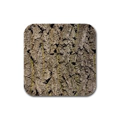 Grey Tree Bark Rubber Square Coaster (4 Pack)  by trendistuff