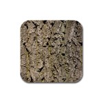 GREY TREE BARK Rubber Square Coaster (4 pack) 