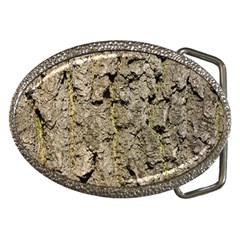 Grey Tree Bark Belt Buckles by trendistuff